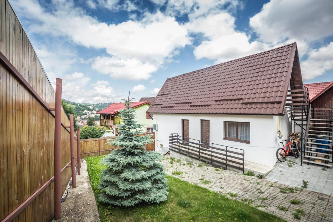 Apartment Manuela Brasov