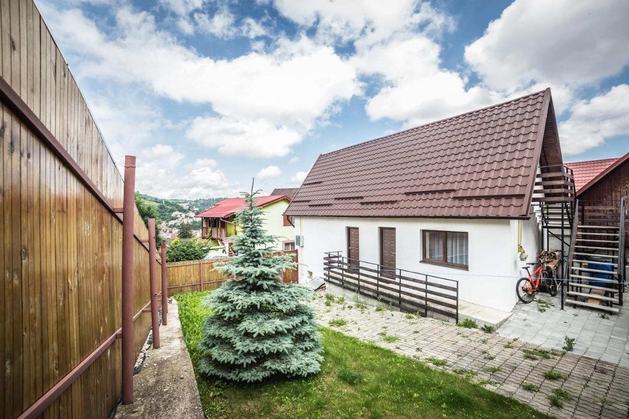 Apartment Manuela Brasov